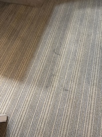 Carpet dirty and smells wet