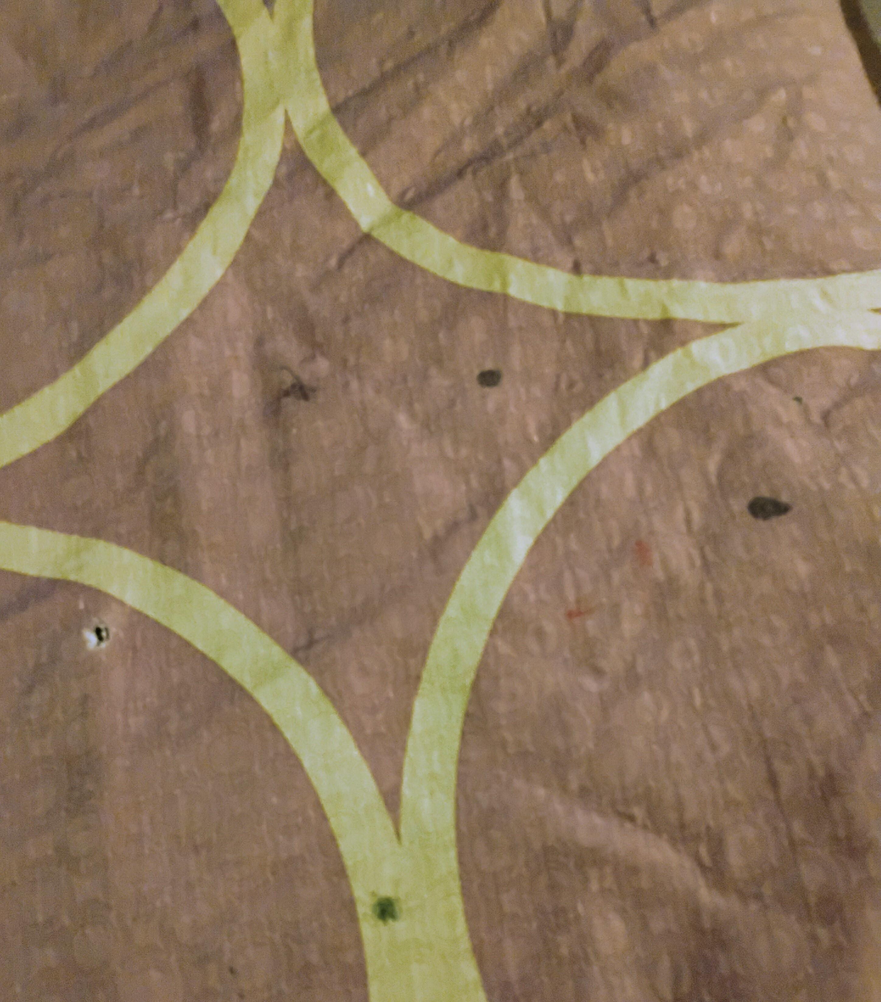 Bedspread with cigarette burns and stains