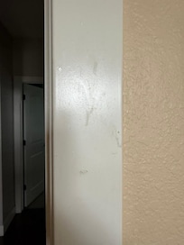 Stains / smudges all over the house