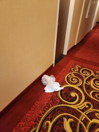 Garbage next to door in hallway