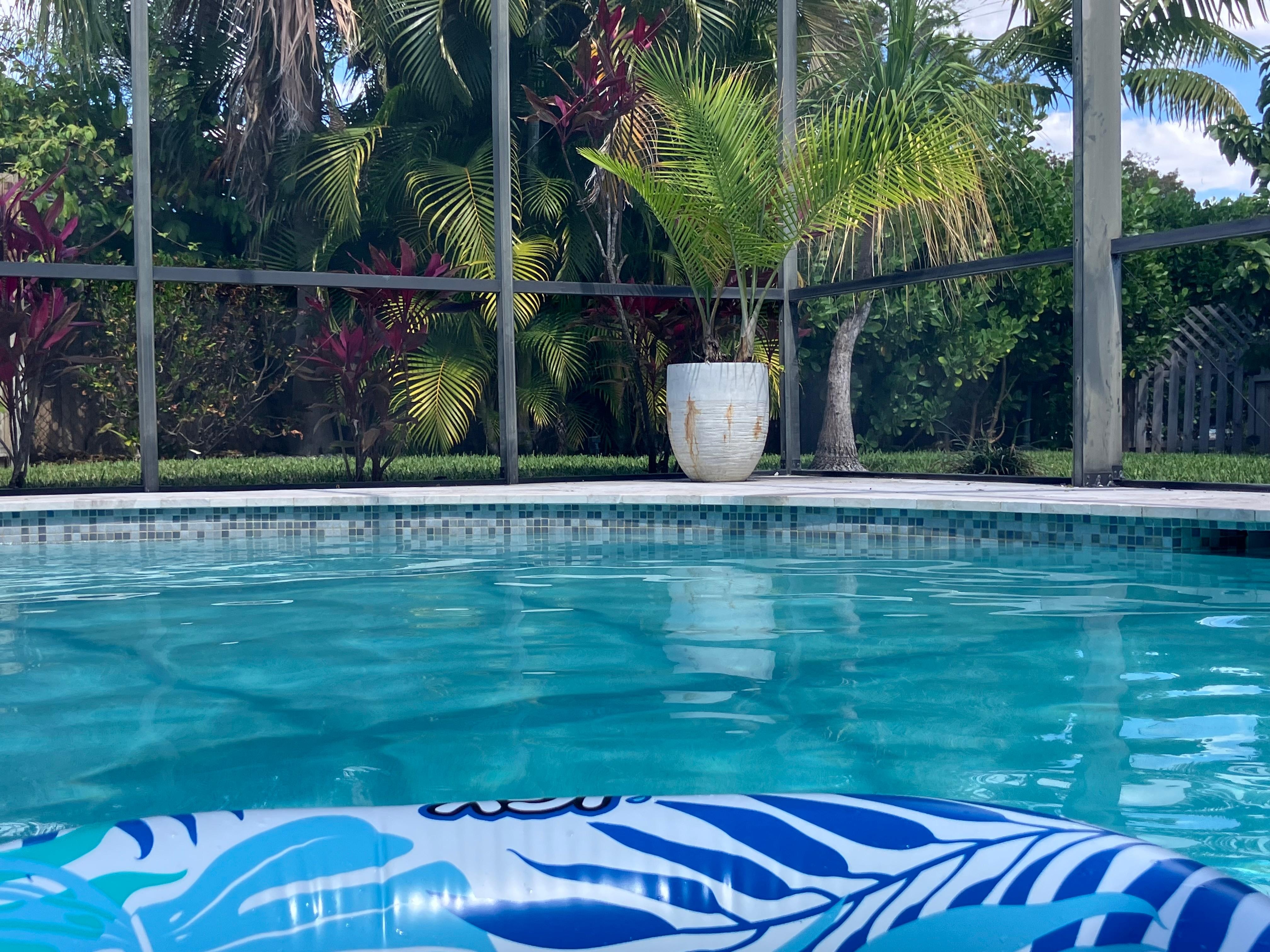 View while floating in pool
