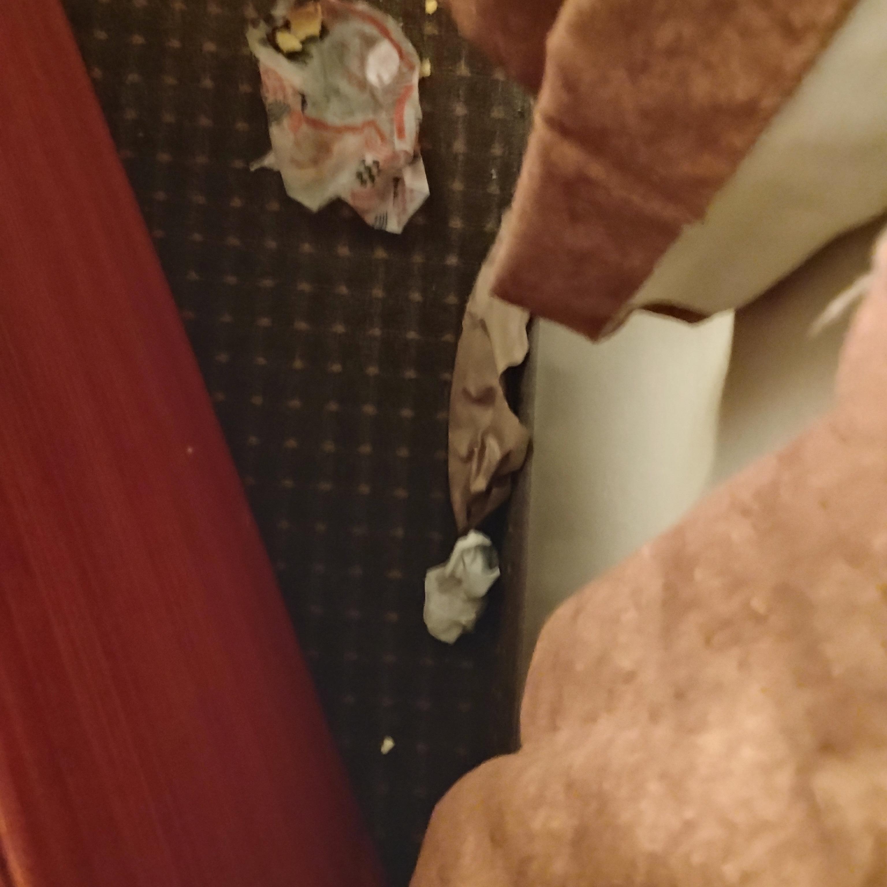 Trash behind the couch 