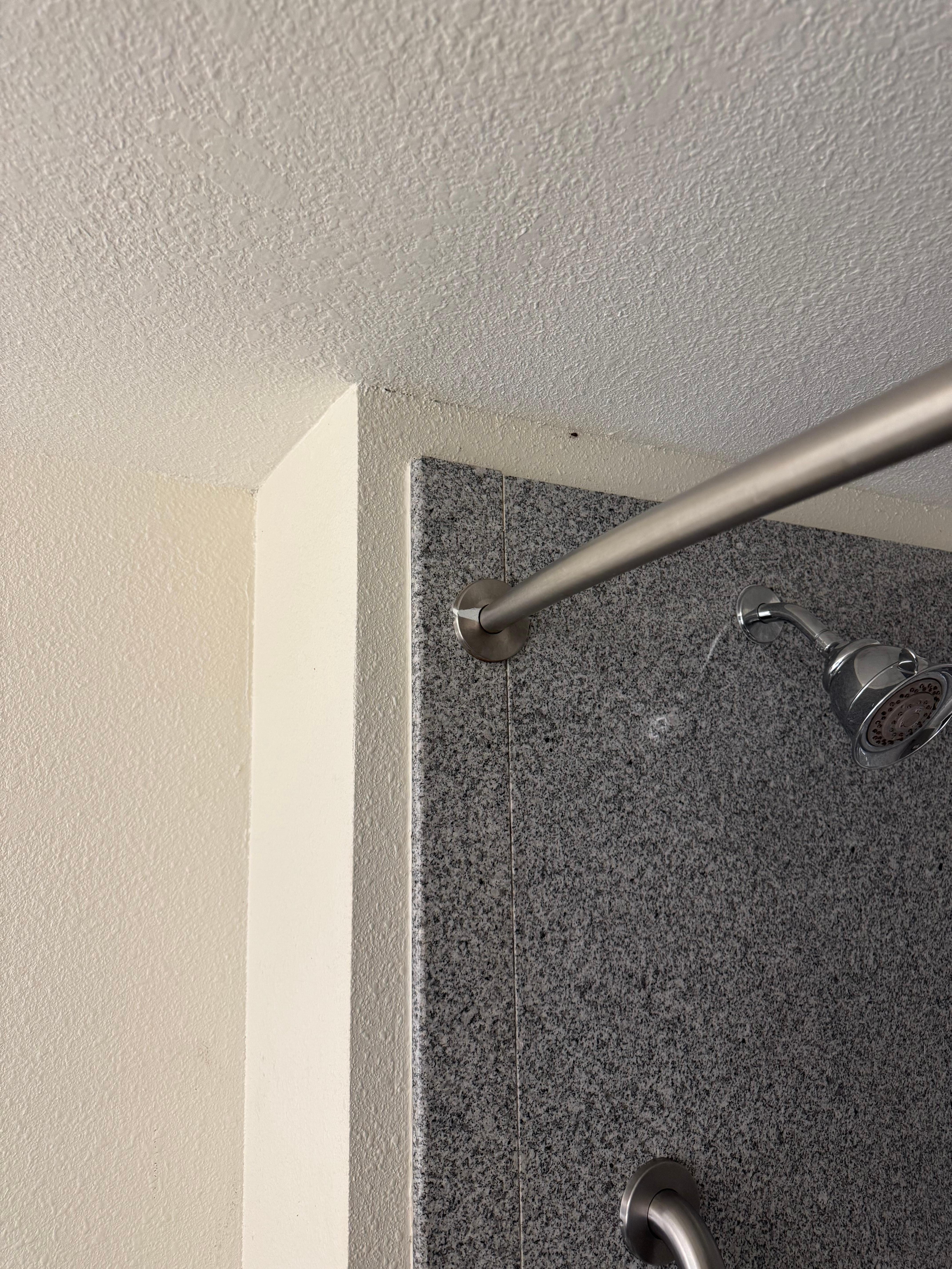 Second cockroach in shower