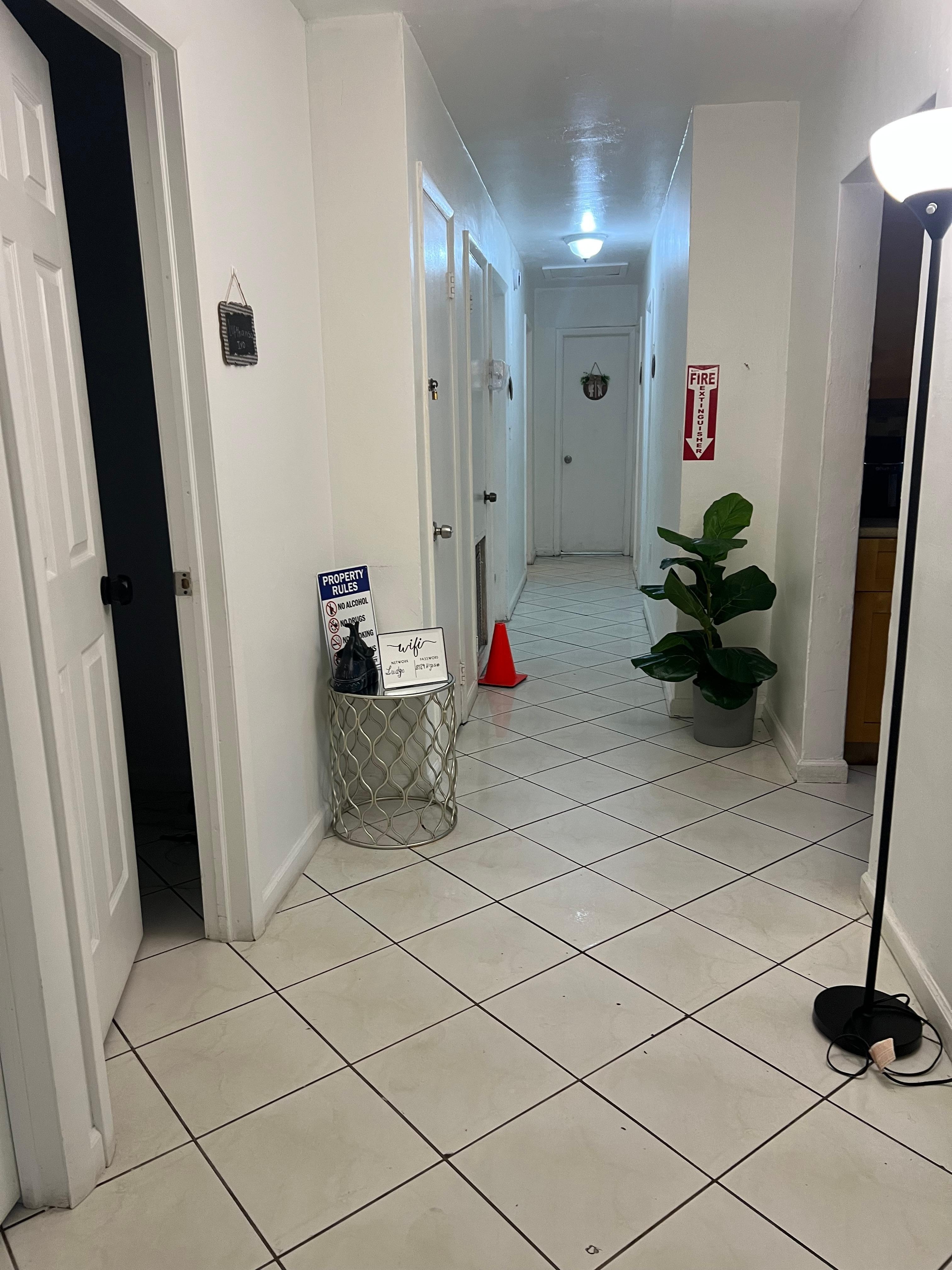 This is what it is looks like when your first step in the house. All the hallway.