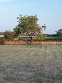 Beautiful view of the garden