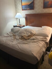 This is what we walked into when we first checked in