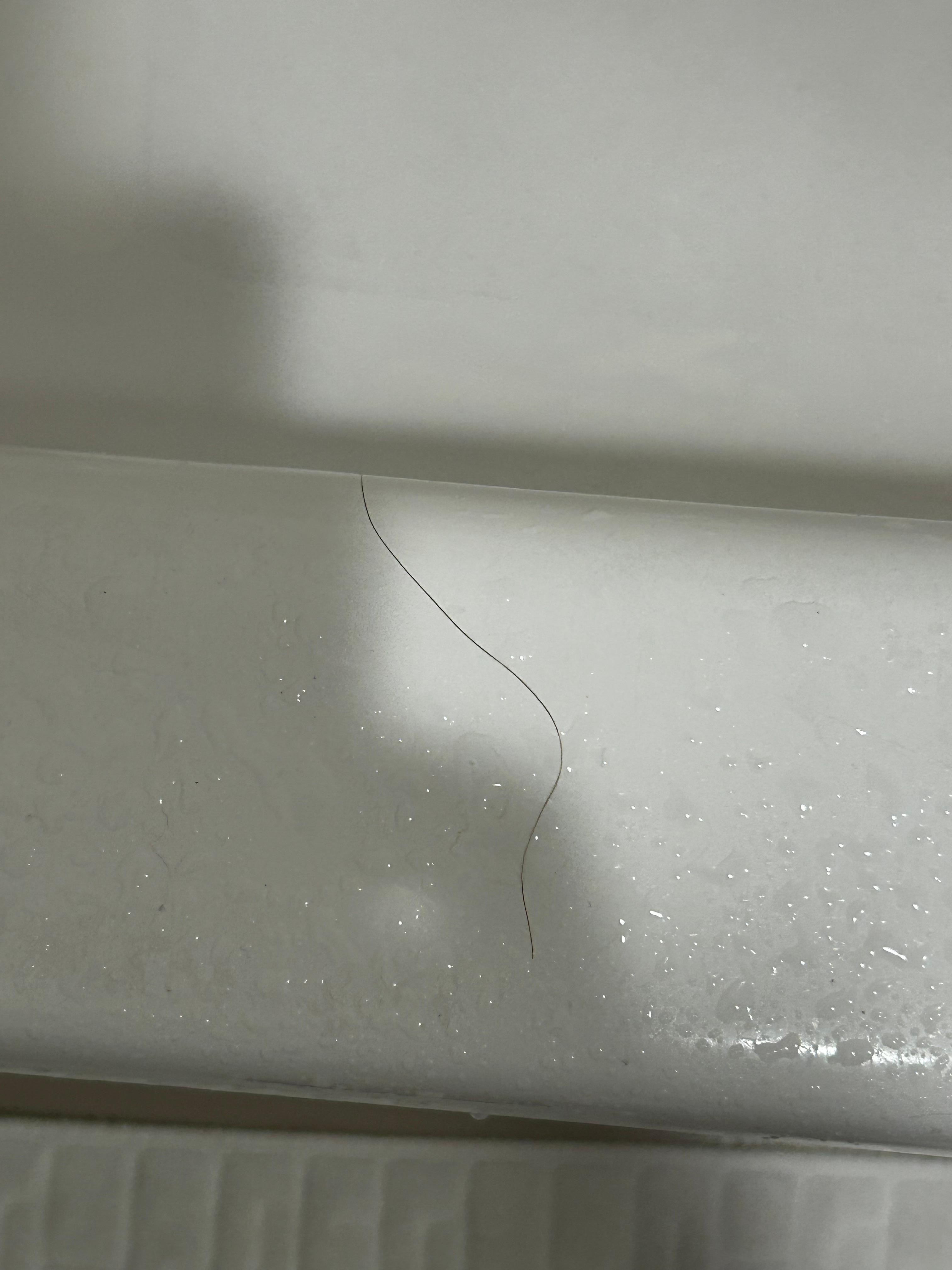 Hair in the shower