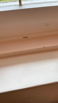Chipped paint