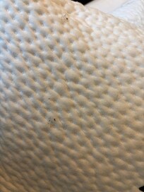 stains on the pillow were absolutely disgusting!