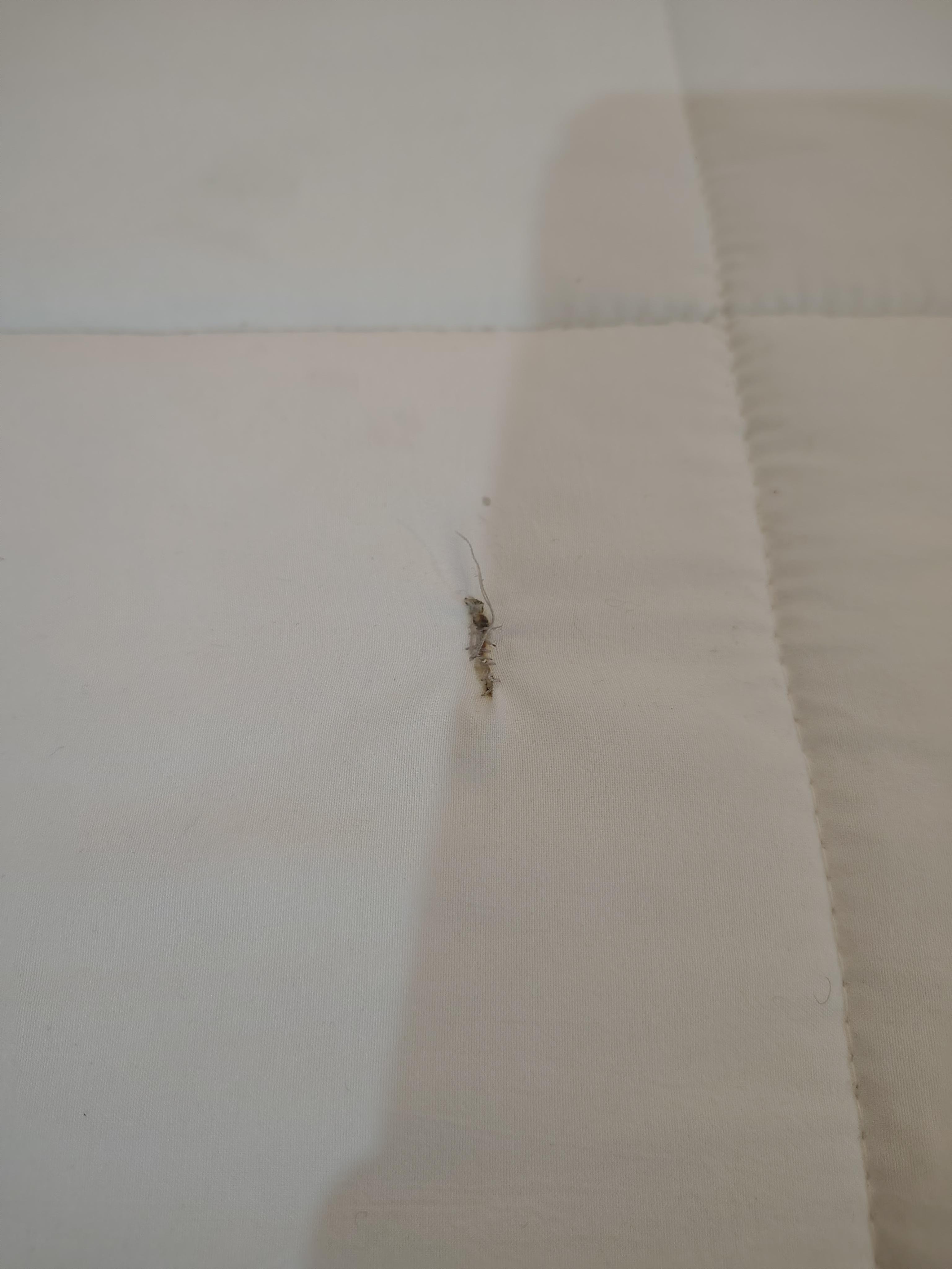 Evidence of unfinished construction.