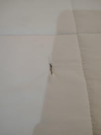 Evidence of unfinished construction.