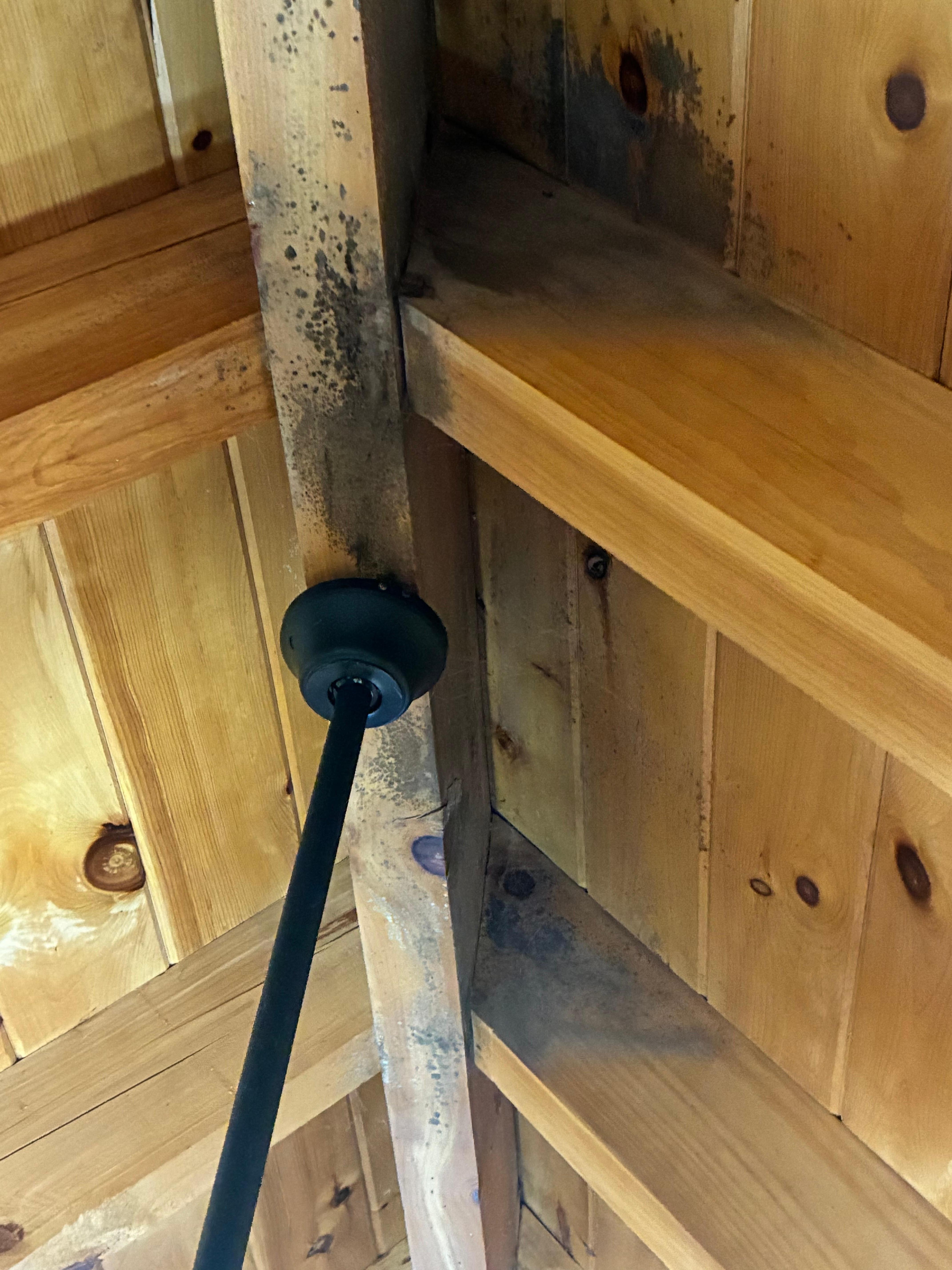 Mold at ceiling peak