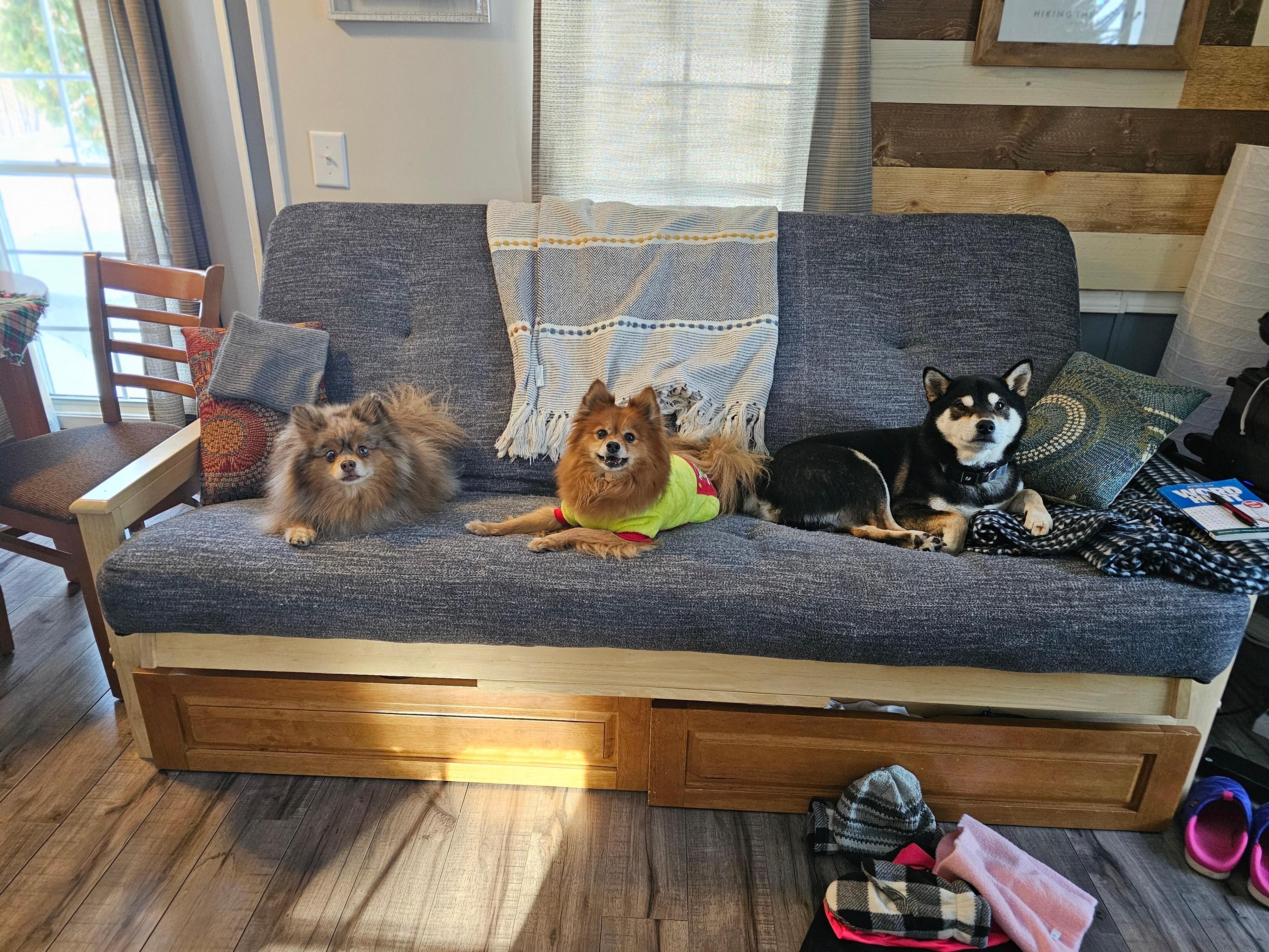 My kids relaxing on the couch.