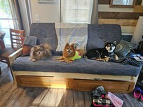 My kids relaxing on the couch.