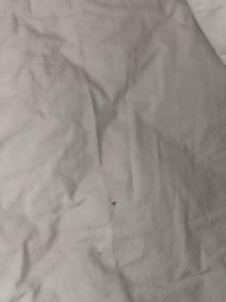 Old Blood on the bed sheets