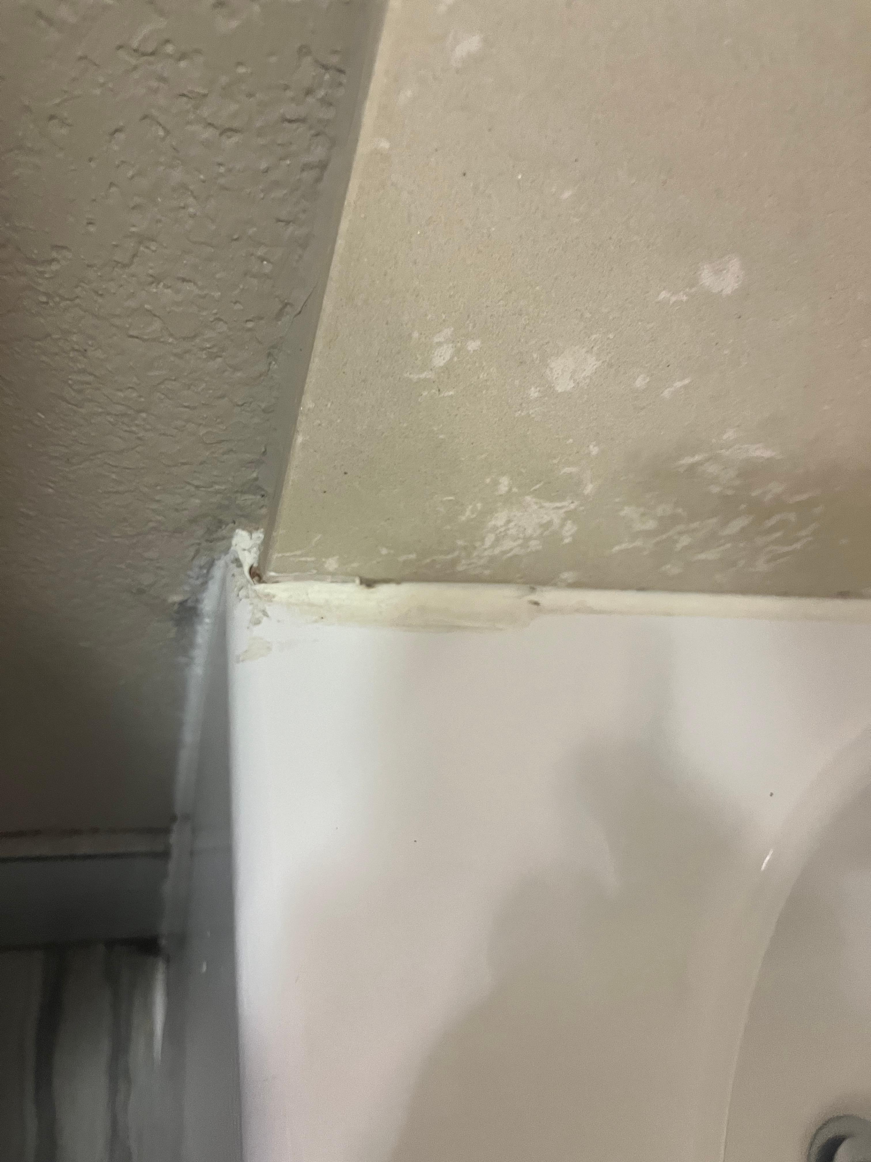 All of the corners of the bathroom looked like this 
