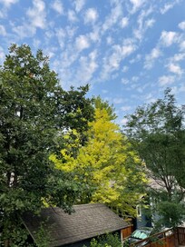 View from the balcony