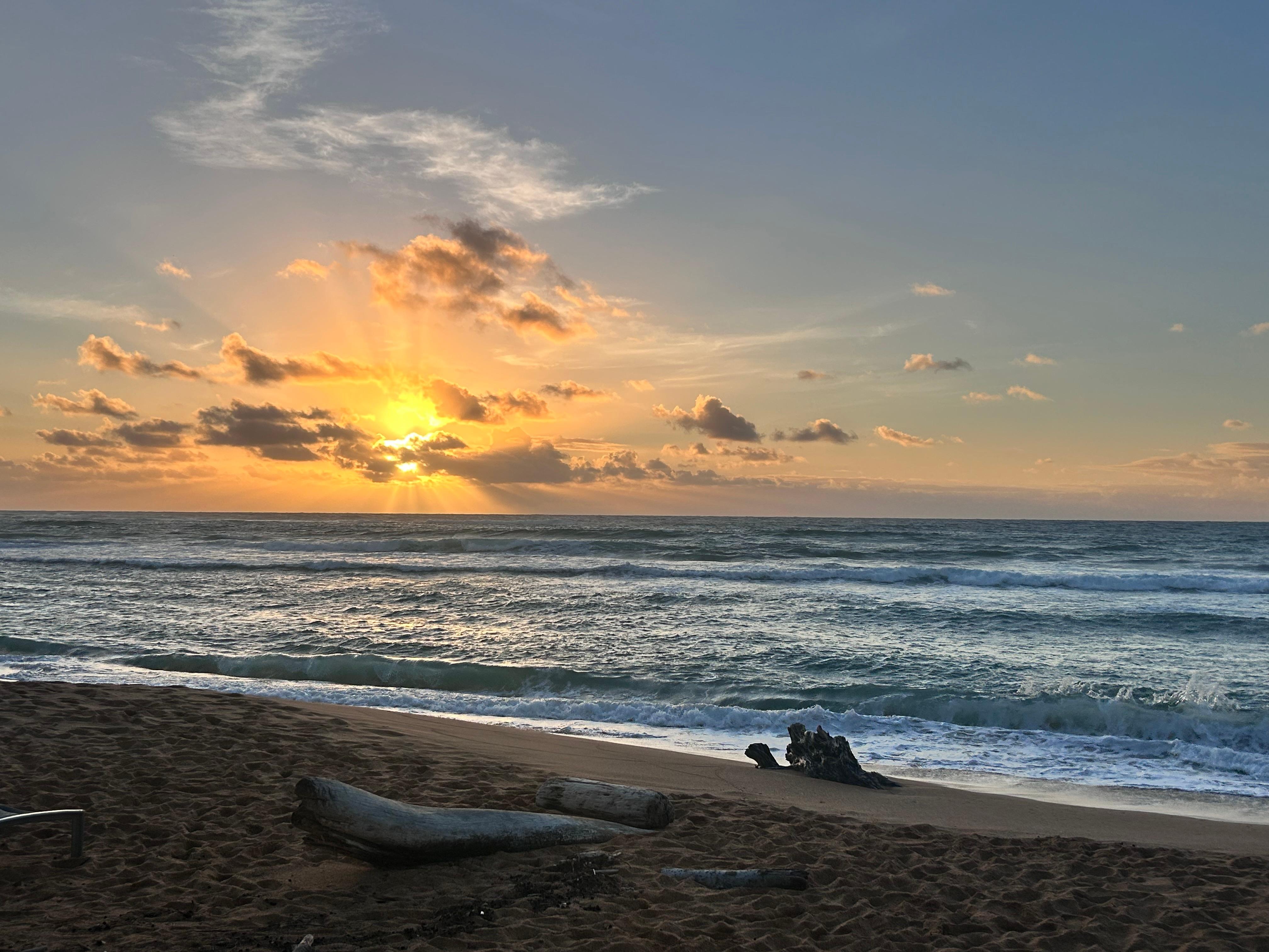 Watch the sunrise with coffee everyday!