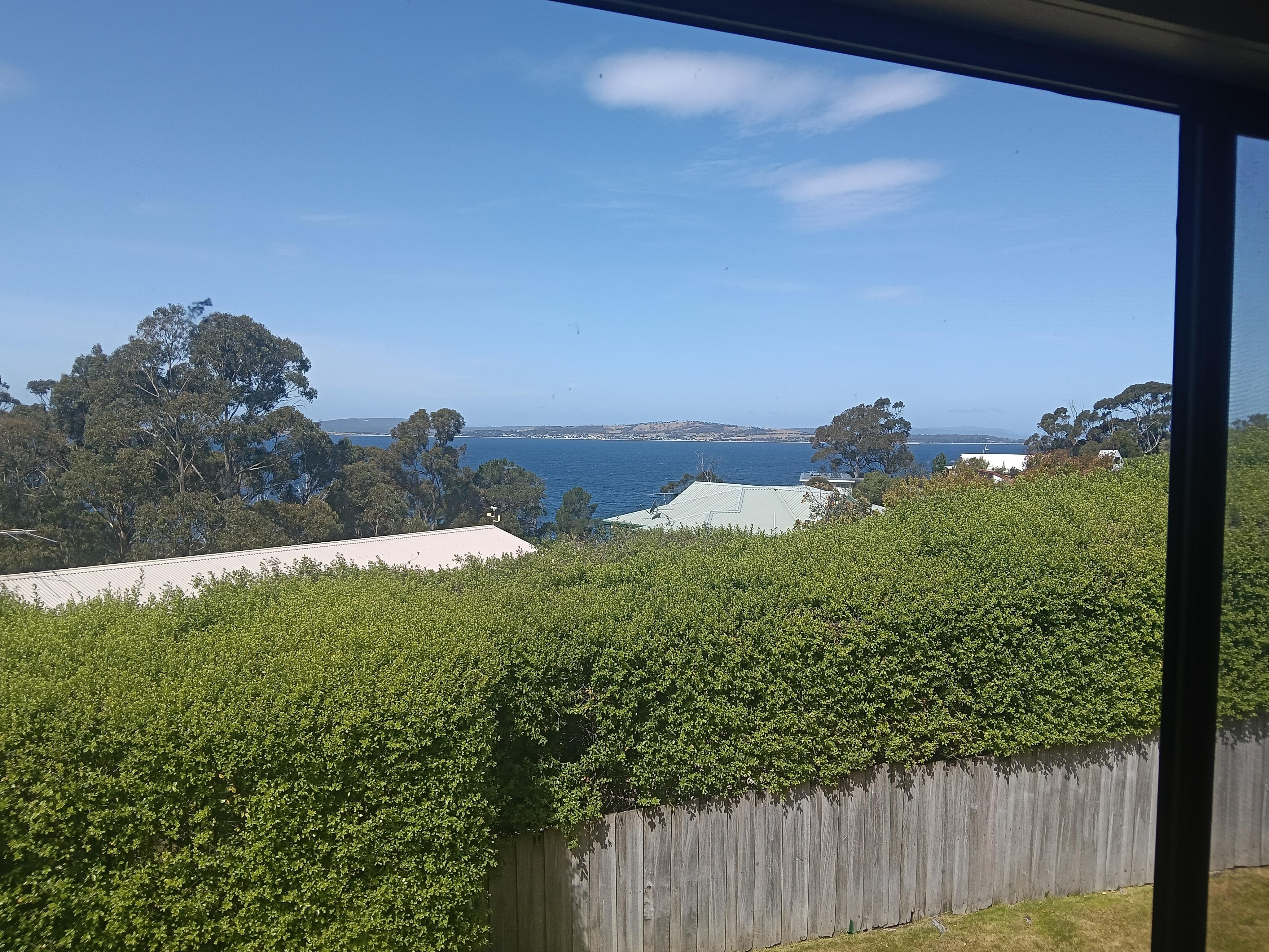 View from the sunroom 