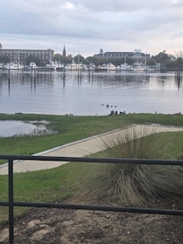 Breakfast view.