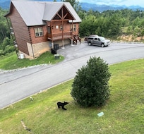 We had a cute little visitor in the back yard!