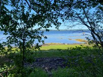 View outside the house