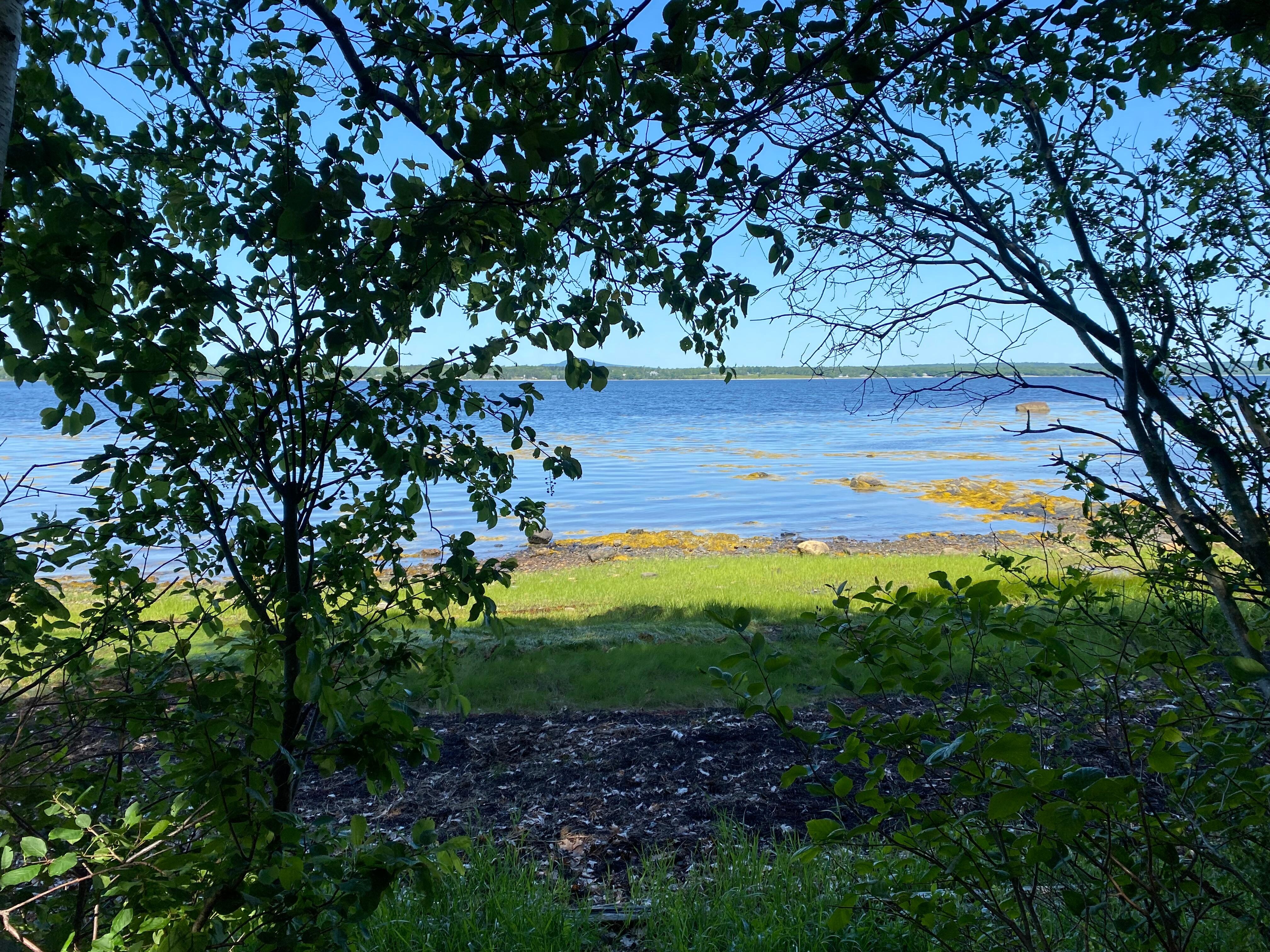 View outside the house