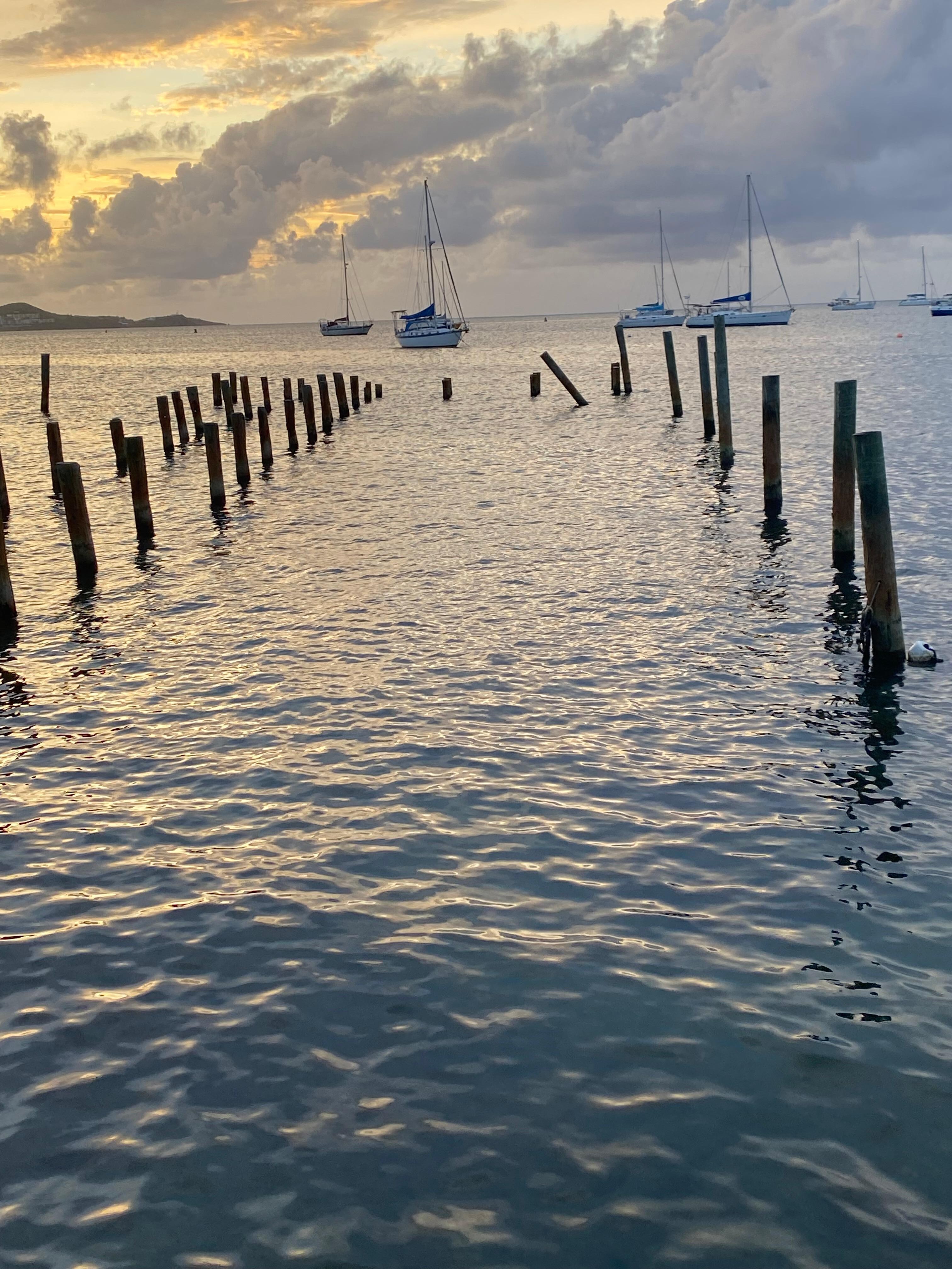 View from the boardwalk