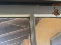 More cobwebs