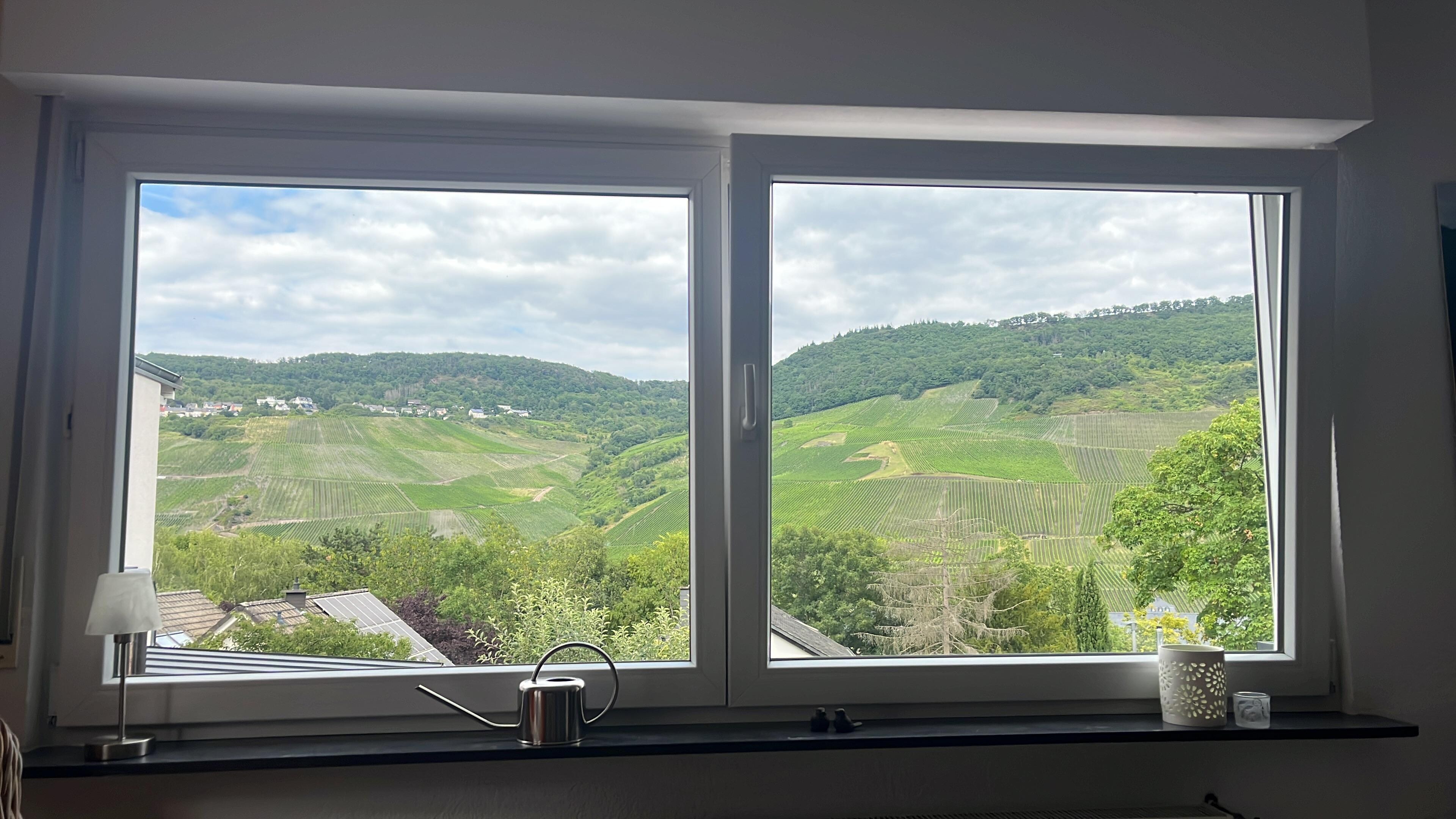 
Der Blick aus dem Wohnzimmerfenster