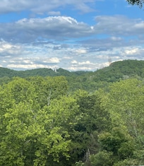 View out a window of main lodge room.