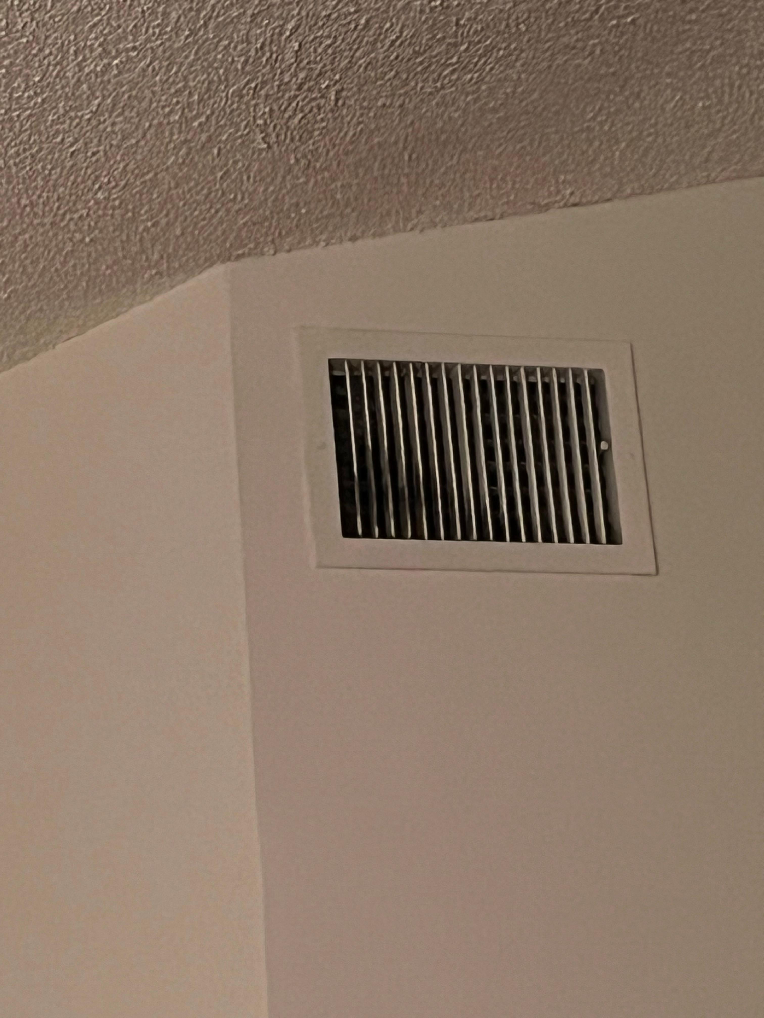 Looked like black mold growing on servant in bedroom