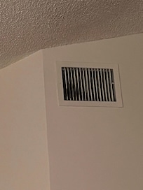 Looked like black mold growing on servant in bedroom