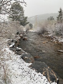 View from back door down the river with a walking trail on the other side