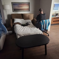 Pull out couch. Needs better mattress but did the trick