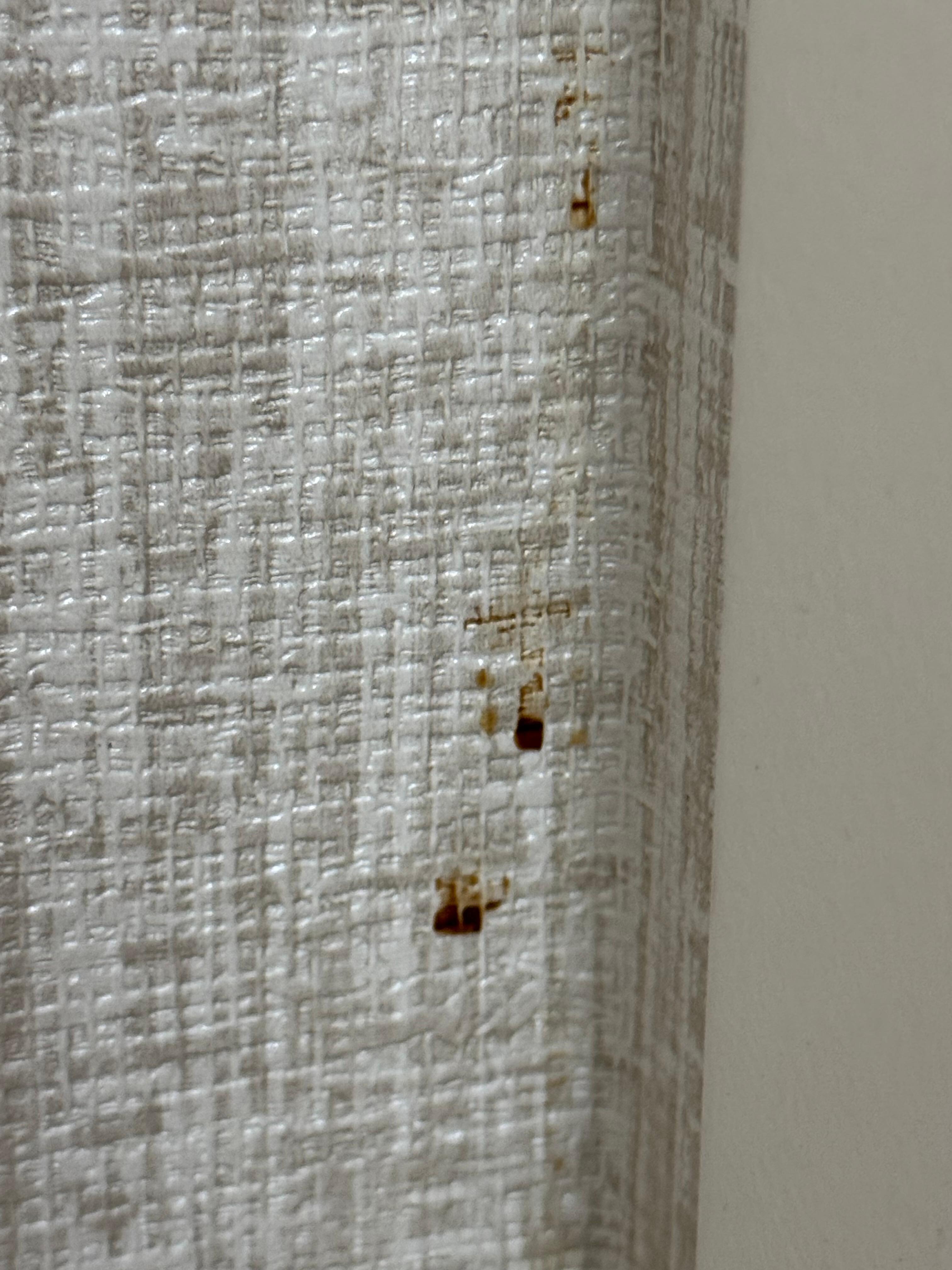 Gross stuff in bathroom 