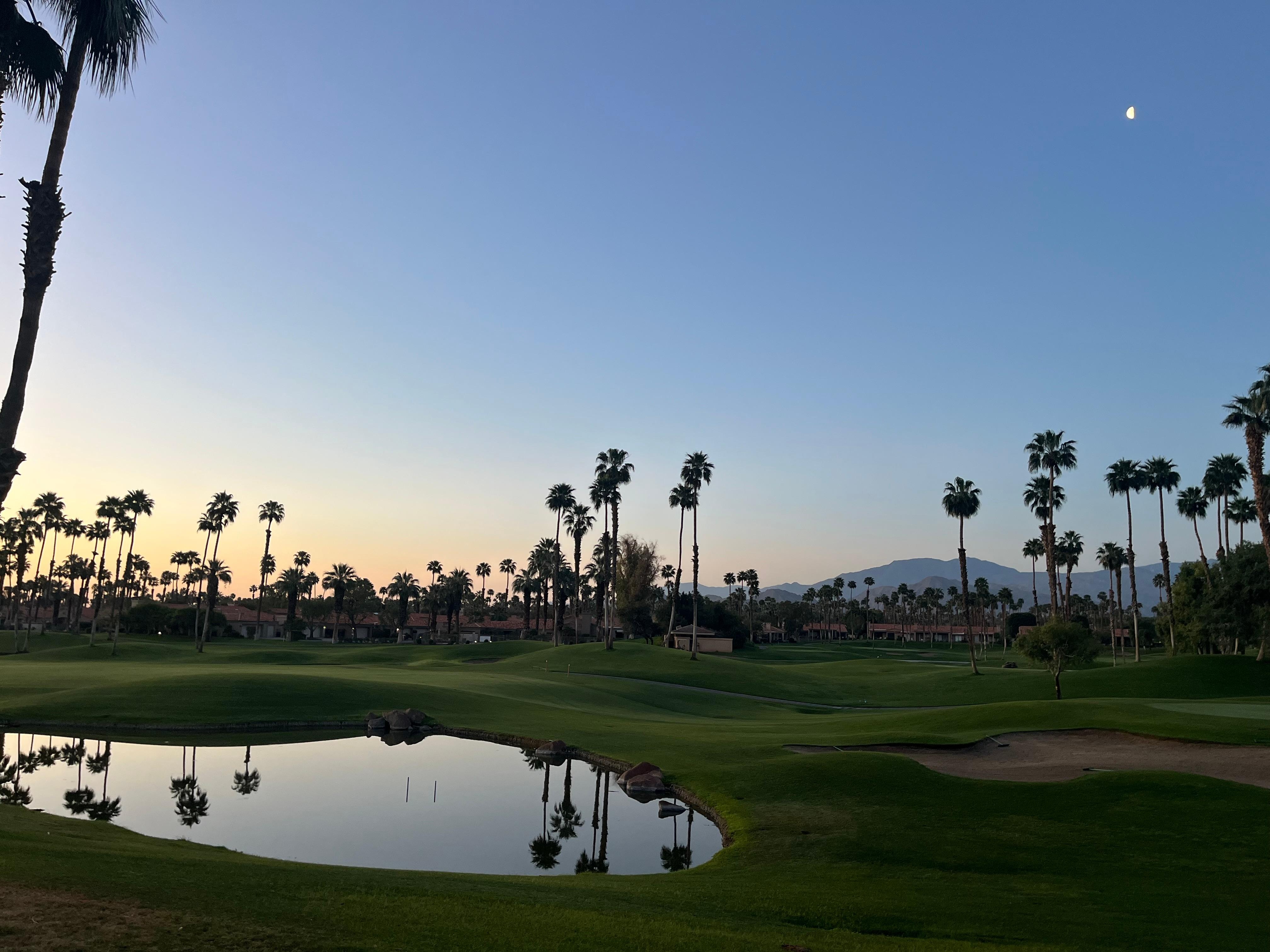 The view from the back patio. 