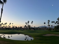 The view from the back patio.