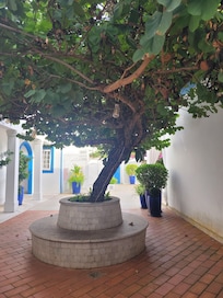 Pátio interno.