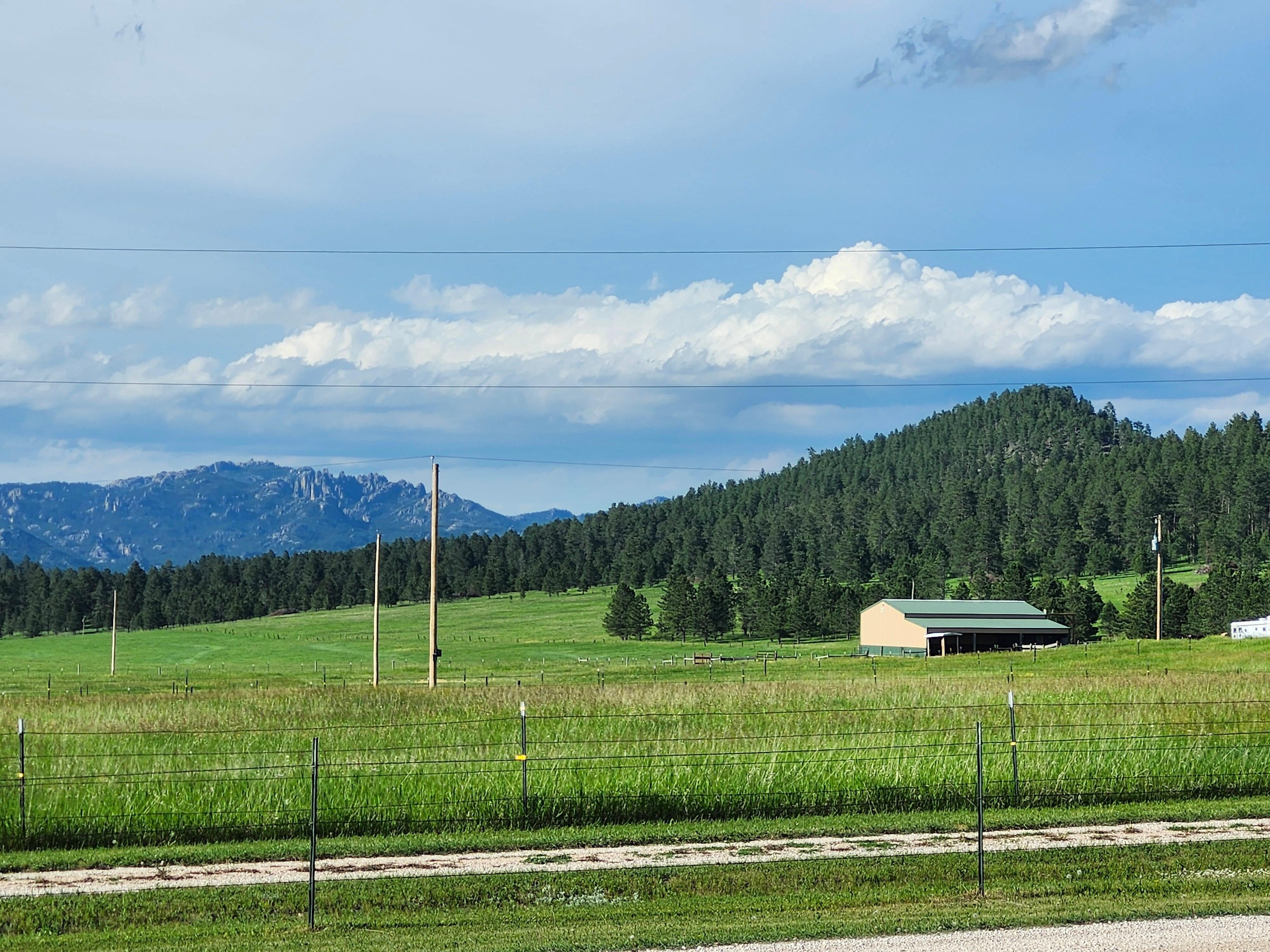 View from the porch