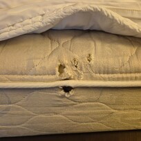 Metal wire sticking out of mattress