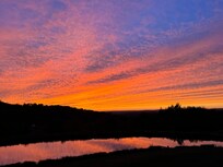 From the back deck!