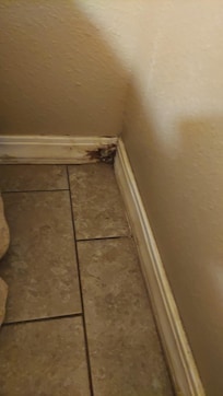 Baseboard by the bed. Almost all of the baseboards had mildew and mold