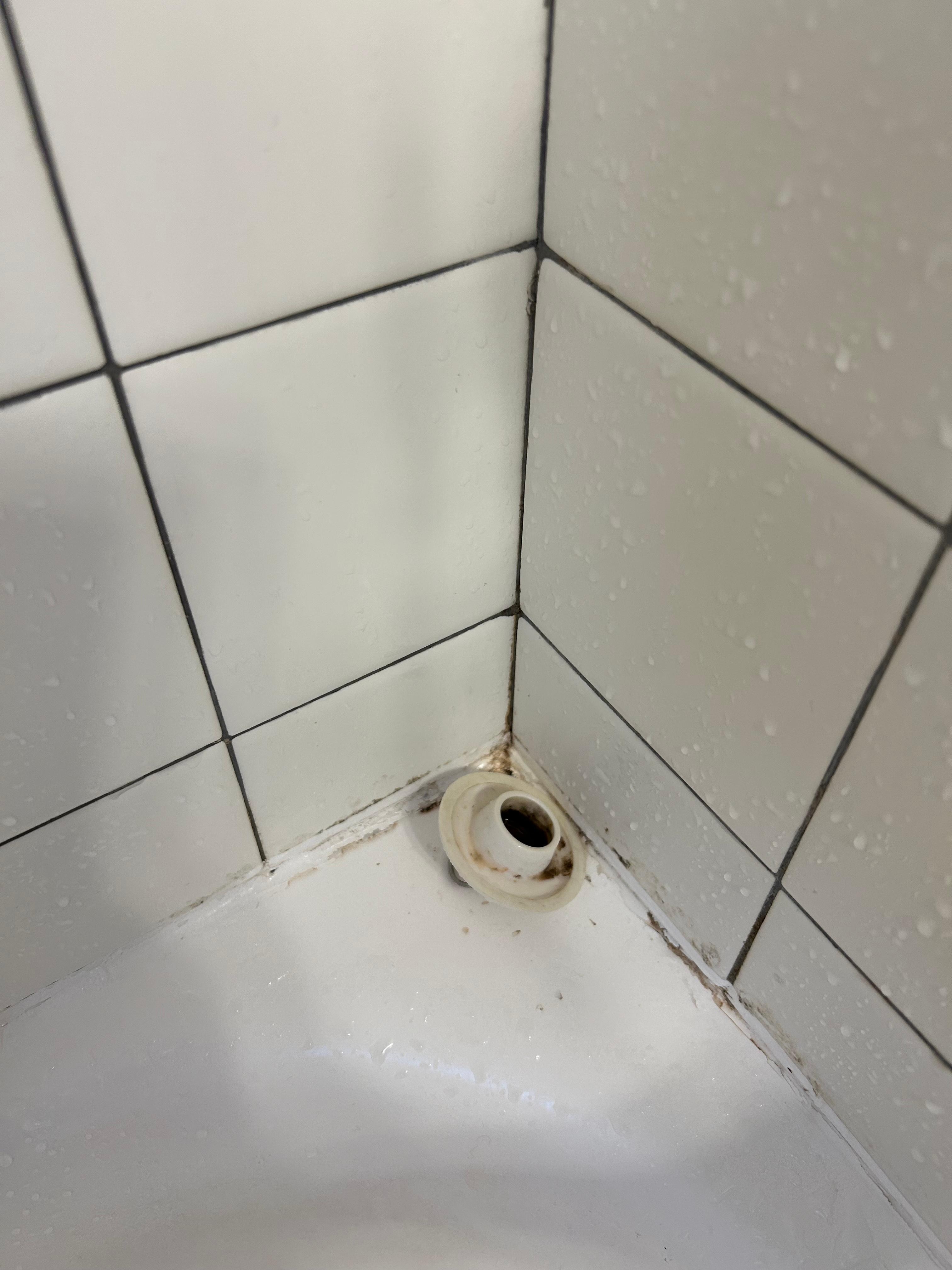 mold in the shower caulking & drain plug