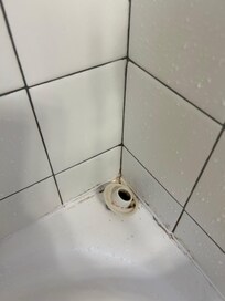 mold in the shower caulking & drain plug