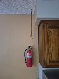 There are two fly strips hanging in the dinning room