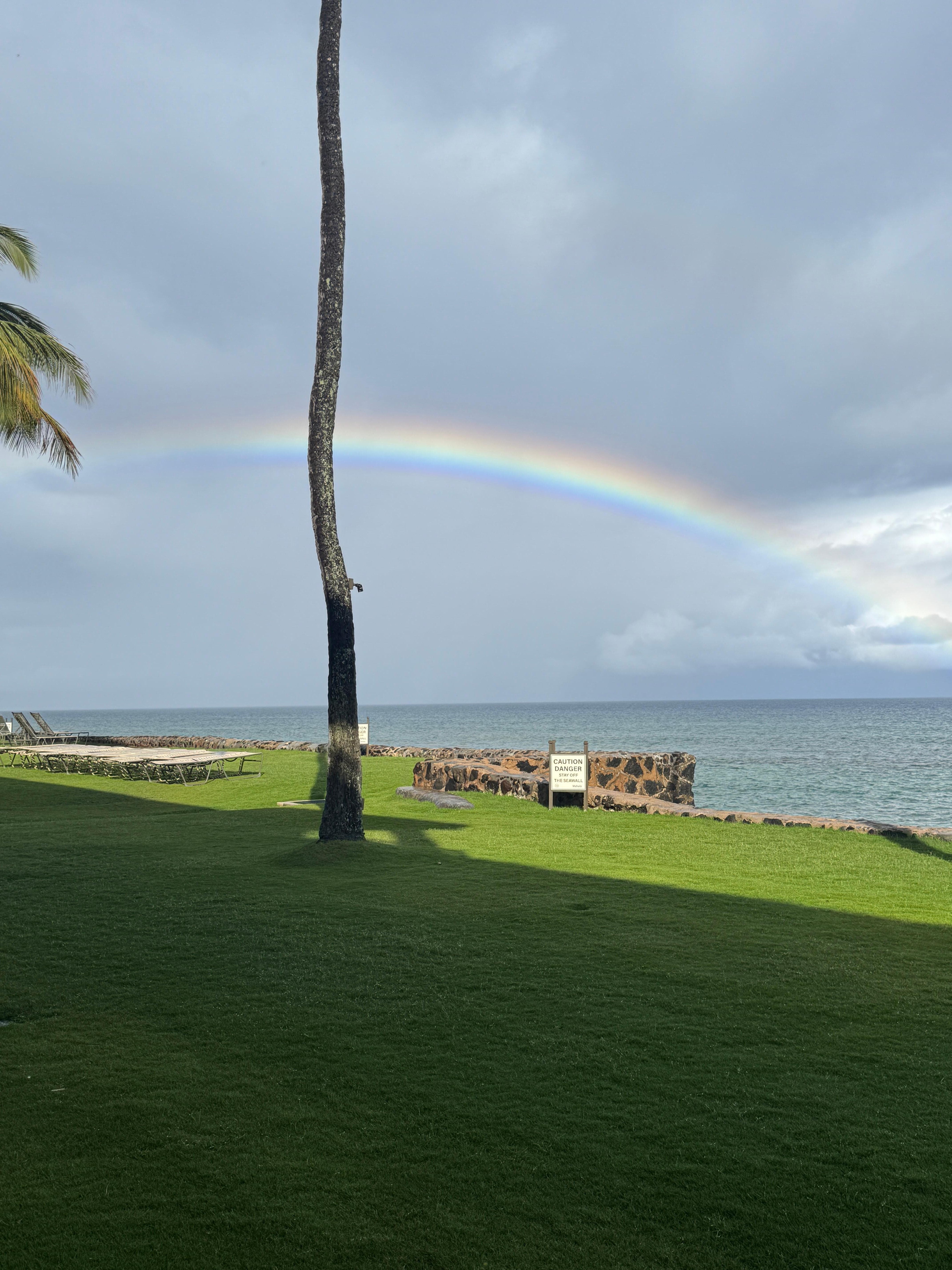 Rainbow after the morning rain