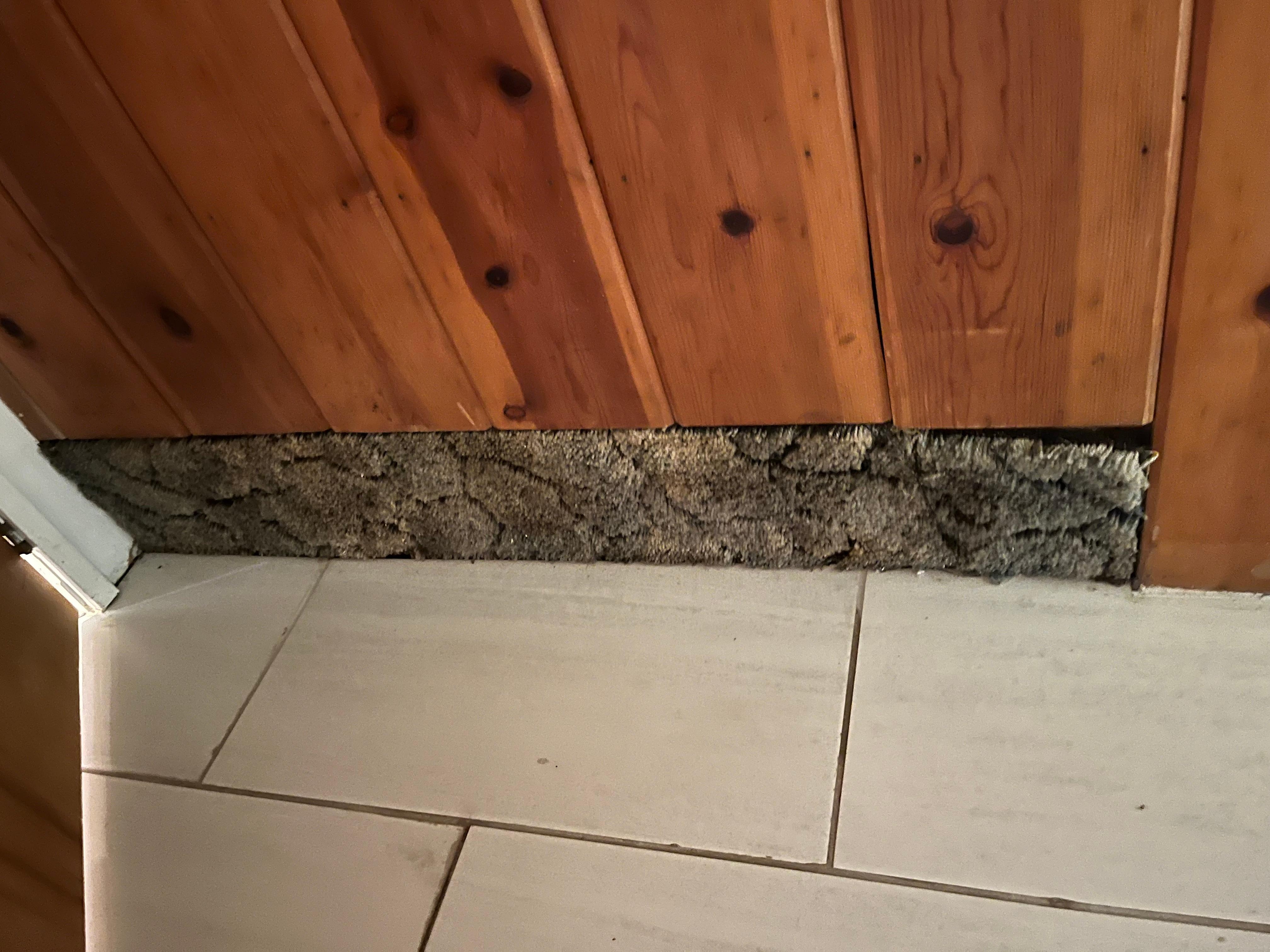 don't even know why old shag carpet was stuck into the wall.