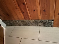 don't even know why old shag carpet was stuck into the wall.