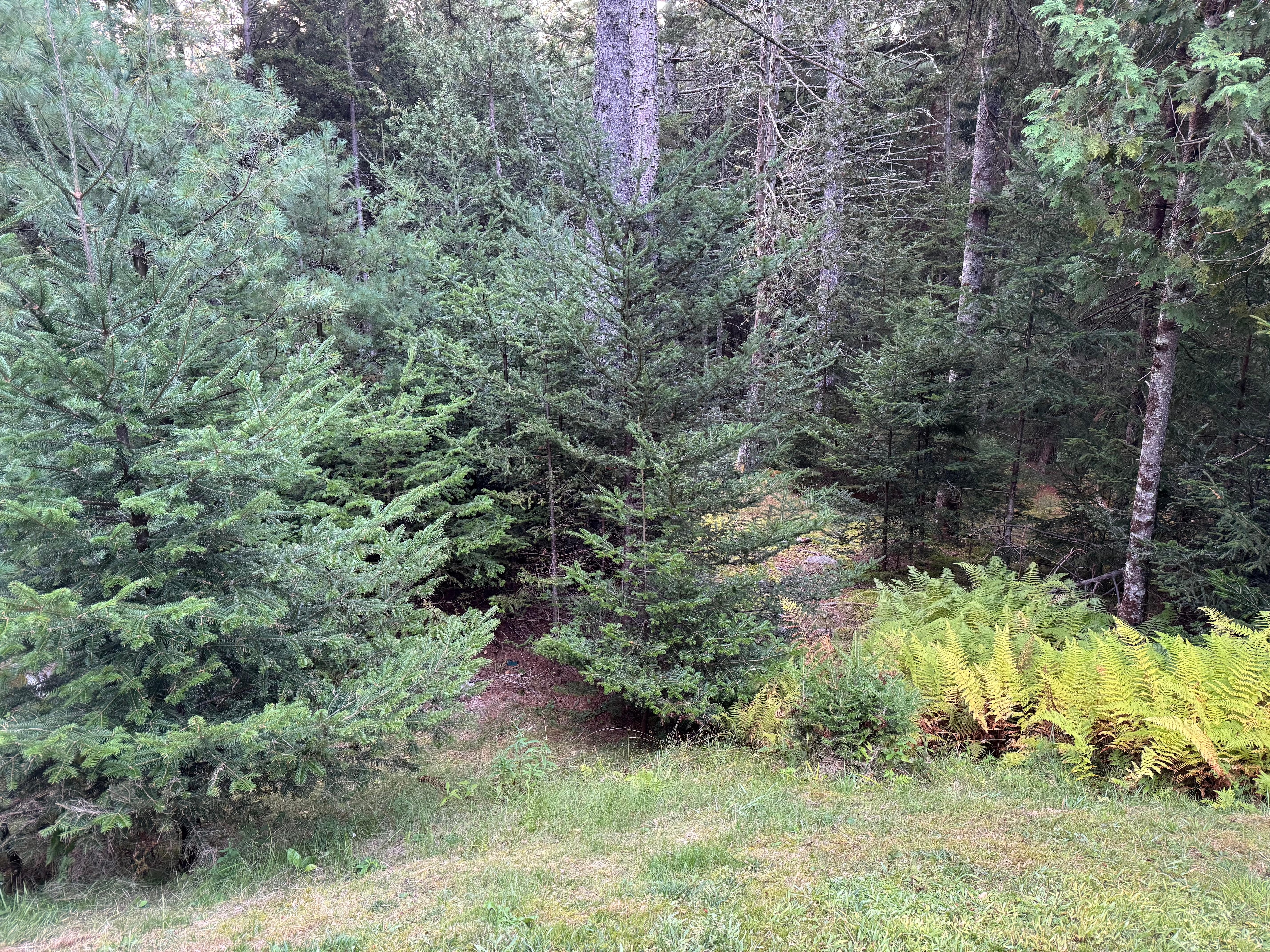 View outside the door